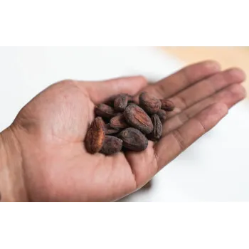 Common Beans Seeds